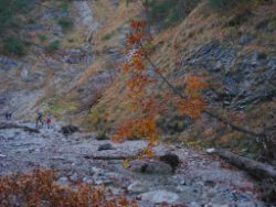 2013-10-26_Schildenstein (085)b.JPG